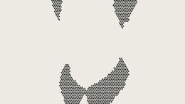 MAO - CAMPAÑA SUZUKI