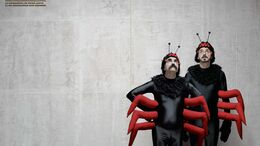 INSECTOS