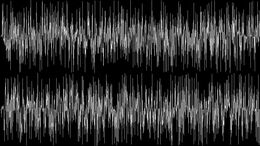 BOLSIRAPTOR - CAMPING