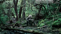 JIRAFA / PANDA / VENADO DE LAS PAMPAS