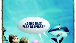 CHASLITAS / TIBURON
