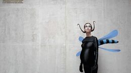 INSECTOS