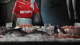 HINCHA OFICIAL