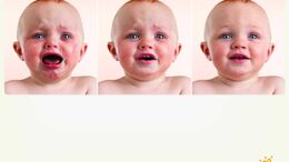 BEBES AUDREY / BRYCE / OTHELLO