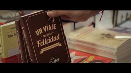 UN VIAJE A LA FELICIDAD