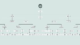 ORGANIGRAMA