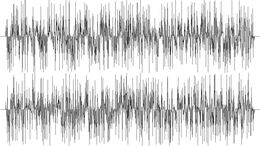 CABARET / MUCAMA / ANILLO / SECRETARIA