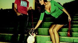 PERRO - CAMPAÑA MARCALES EL CAMINO