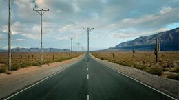 CIUDAD / CAMPO / DESIERTO