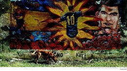 TEVEZ - CAMPAÑA MURALES