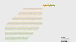 MIL PALABRAS / BOSQUE