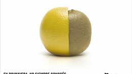 KIWI - CAMPAÑA MEDIA NARANJA