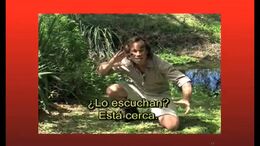 BAJO PRESUPUESTO