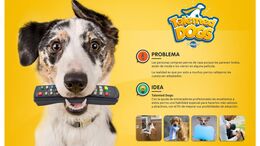 TALENTED DOGS