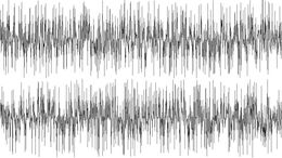 POLICIA - CAMPAÑA FORD KA