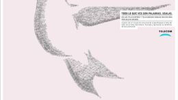PAJARO - CAMPAÑA PALABRAS