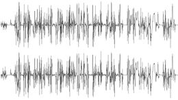 LÍNEA DE AUDIO NXT