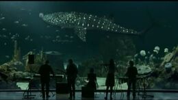 ACUARIO