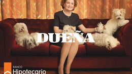 DUEÑOS - PERROS