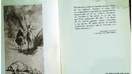 QUIJOTE - CAMPAÑA LEÉ