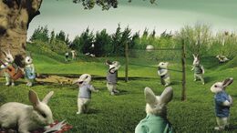 CAMPAÑA PRIMAVERA - VOLEY