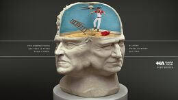 TODOS PENSAMOS LO MISMO