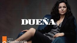 DUEÑOS - EJECUTIVA
