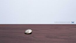 LATA / RELOJ / GIRASOLES