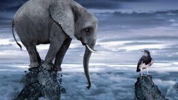 ELEFANTE