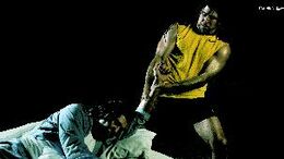 CORLETTO DORMIDO - CAMPAÑA TRAINING
