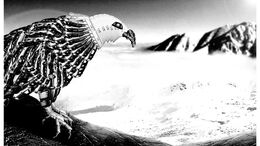 AGUILA