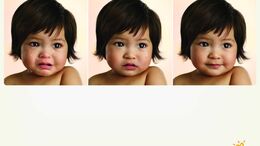 BEBES AUDREY / BRYCE / OTHELLO