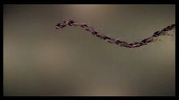 MOVIMIENTO