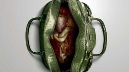 CARTERA