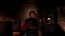 CAMPAÑA SOMMELIER 4