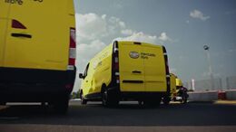 YELLOW RACES