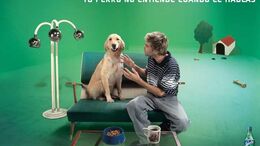 PERRO - CAMPAÑA LAS COSAS COMO SON