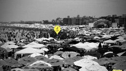 PLAYA - CAMPAÑA EJECT