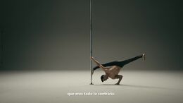 THE POLE