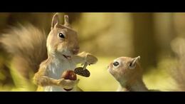 ARDILLAS - CAMPAÑA TWISTER