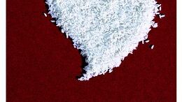 ARROZ  - CAMPAÑA CORAZONES