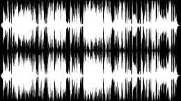 PET FRIENDLY - BUFALO