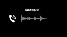 LLAMADOS ELECTORALES