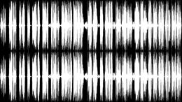 UNA VOZ CON OTROS PULMONES