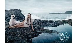 BAMBOSEAL - CAMPAÑA WE WANT FUR