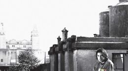 HOMBRESDEOLÉBAJOELBRAZO - ADN