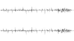 DUHALDE AHORA - CAMPAÑA BURGER KING