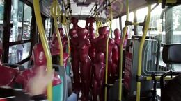 COLECTIVO