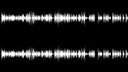 POLÉMICAS INSIGNIFICANTES