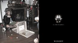 EL VINO TE ESPERA